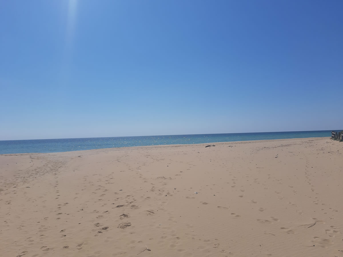 3 17 luglio