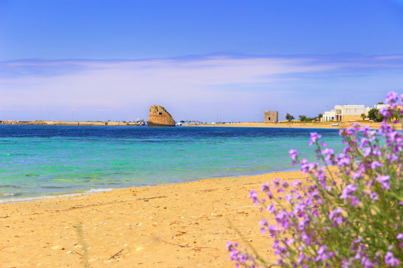 Cosa vedere a Torre Pali