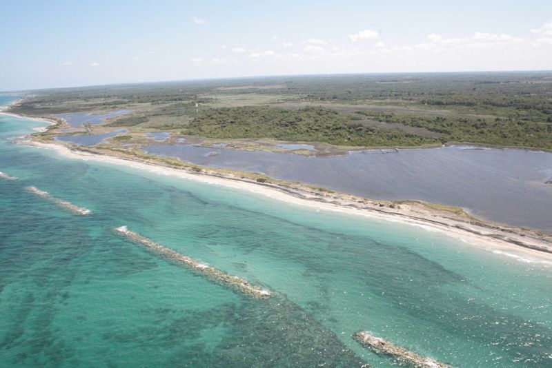 Oasi delle Cesine nel Salento