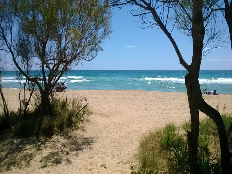 18giugno 2 luglio