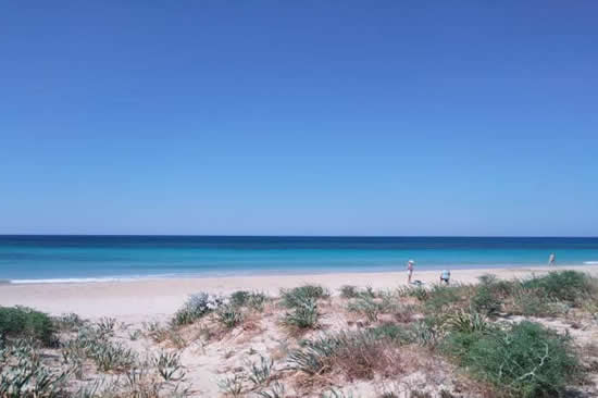 spiaggia Pescoluse 